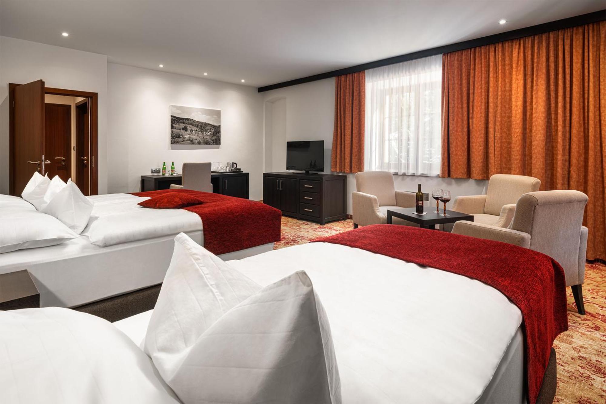 Hotel Singer Ludvíkov Quarto foto